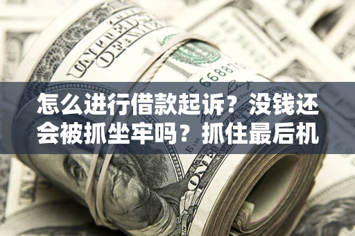 武汉怎么进行借款起诉？没钱还会被抓坐牢吗？抓住最后机会！