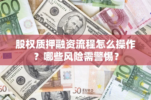 武汉股权质押融资流程怎么操作？哪些风险需警惕？