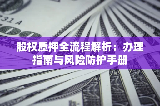 武汉股权质押全流程解析：办理指南与风险防护手册