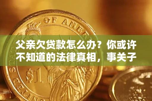 武汉父亲欠贷款怎么办？你或许不知道的法律真相，事关子女未来