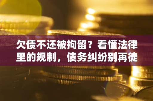 武汉欠债不还被拘留？看懂法律里的规制，债务纠纷别再徒劳奔波