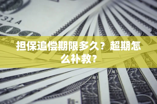 武汉担保追偿期限多久？超期怎么补救？