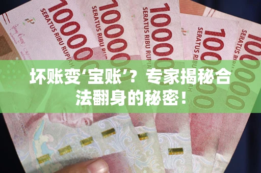 武汉坏账变‘宝账’？专家揭秘合法翻身的秘密！
