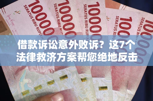 武汉借款诉讼意外败诉？这7个法律救济方案帮您绝地反击！