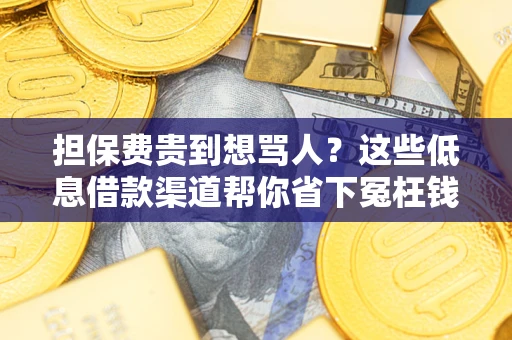 武汉担保费贵到想骂人？这些低息借款渠道帮你省下冤枉钱