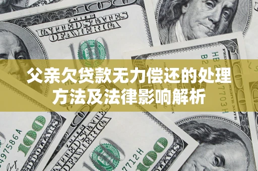 武汉父亲欠贷款无力偿还的处理方法及法律影响解析
