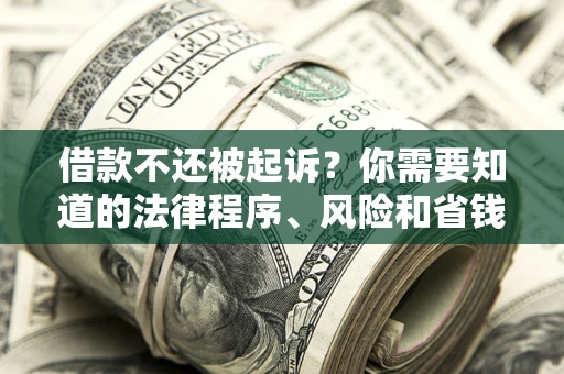 武汉借款不还被起诉？你需要知道的法律程序、风险和省钱技巧