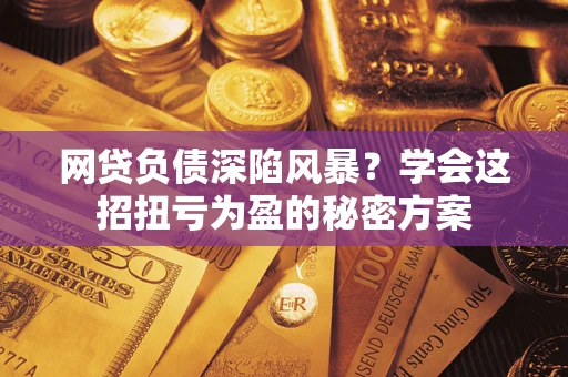 武汉网贷负债深陷风暴？学会这招扭亏为盈的秘密方案