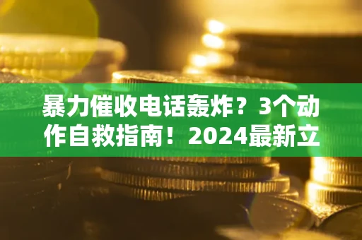 武汉暴力催收电话轰炸？3个动作自救指南！2024最新立案标准全解析